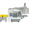 Gantry Manipulator